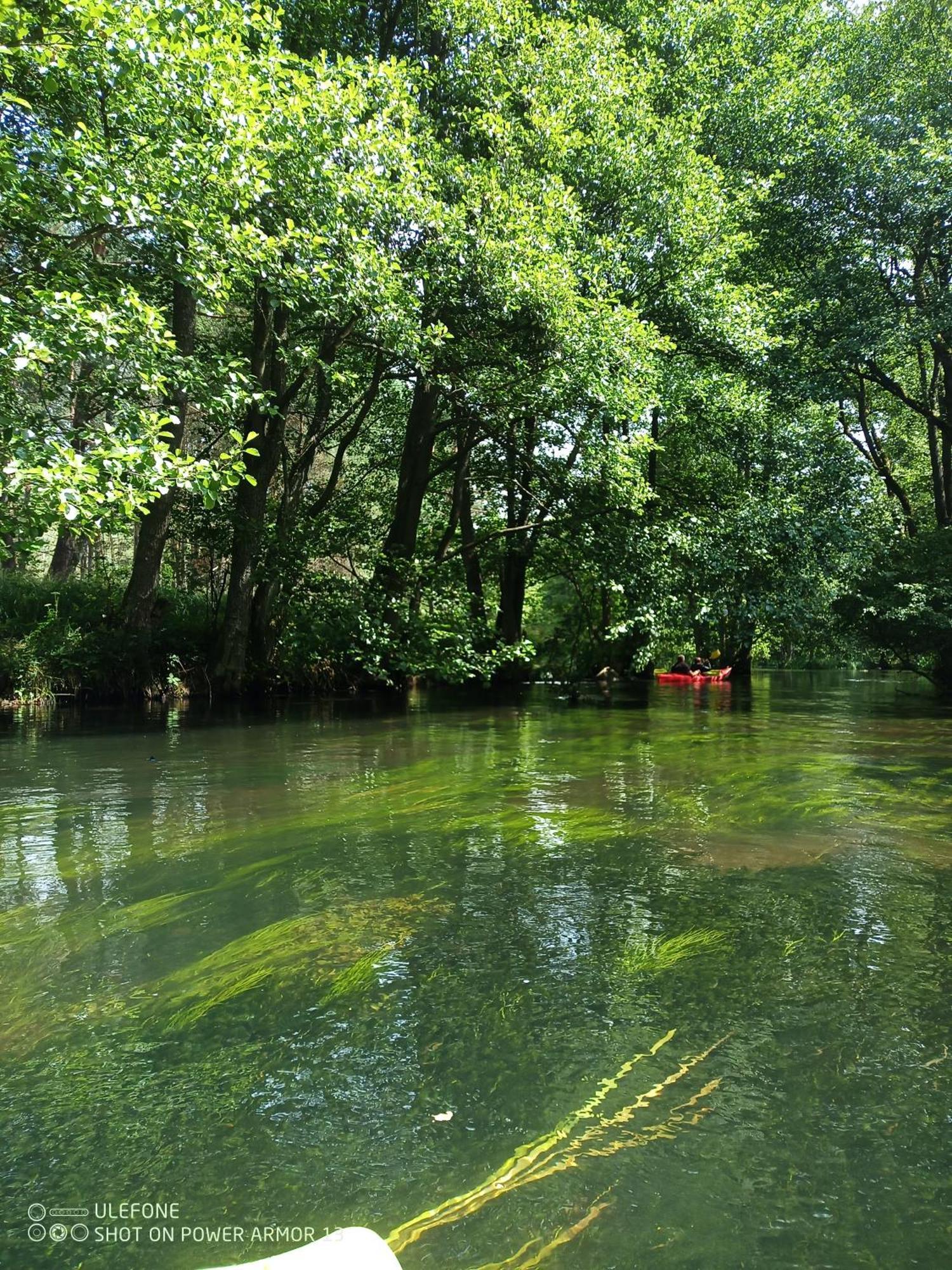 Agroturystyka Gramburg Zblewo Luaran gambar